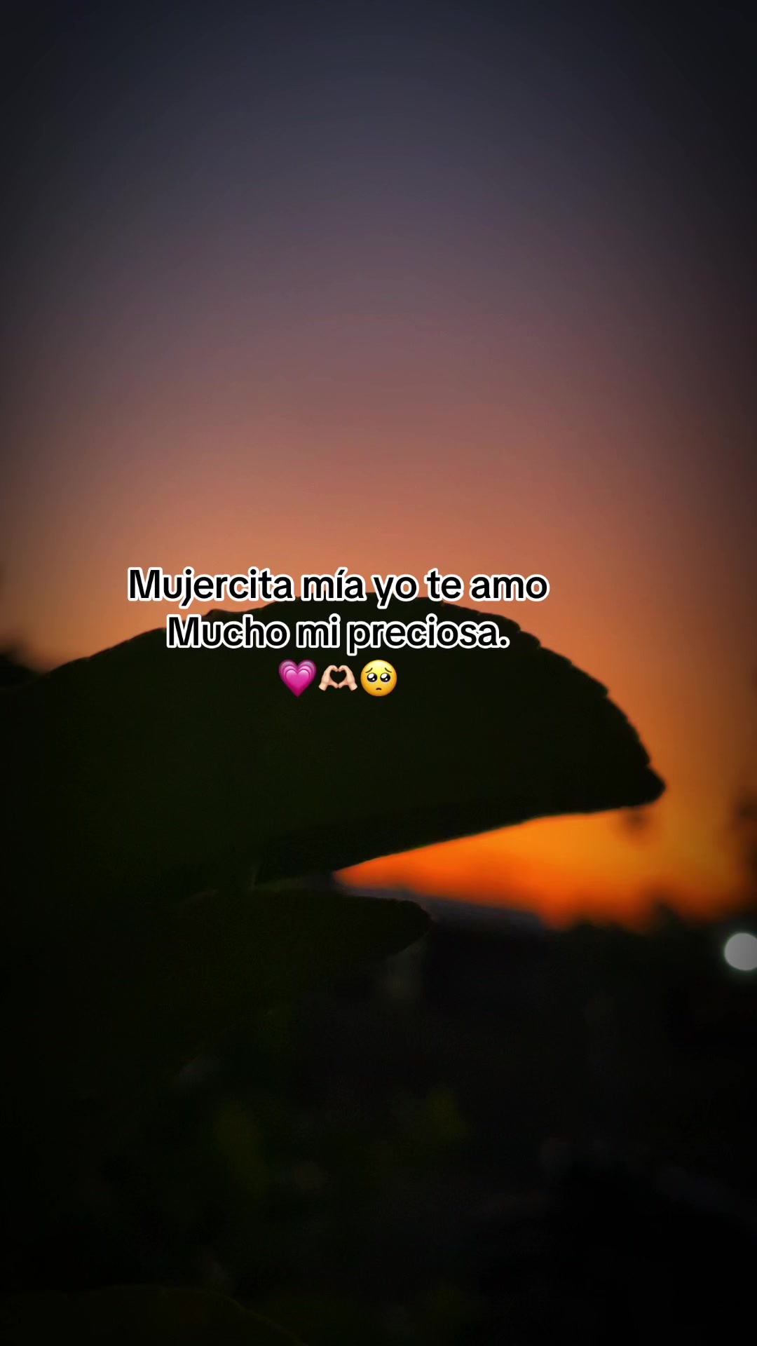 @Gustavo