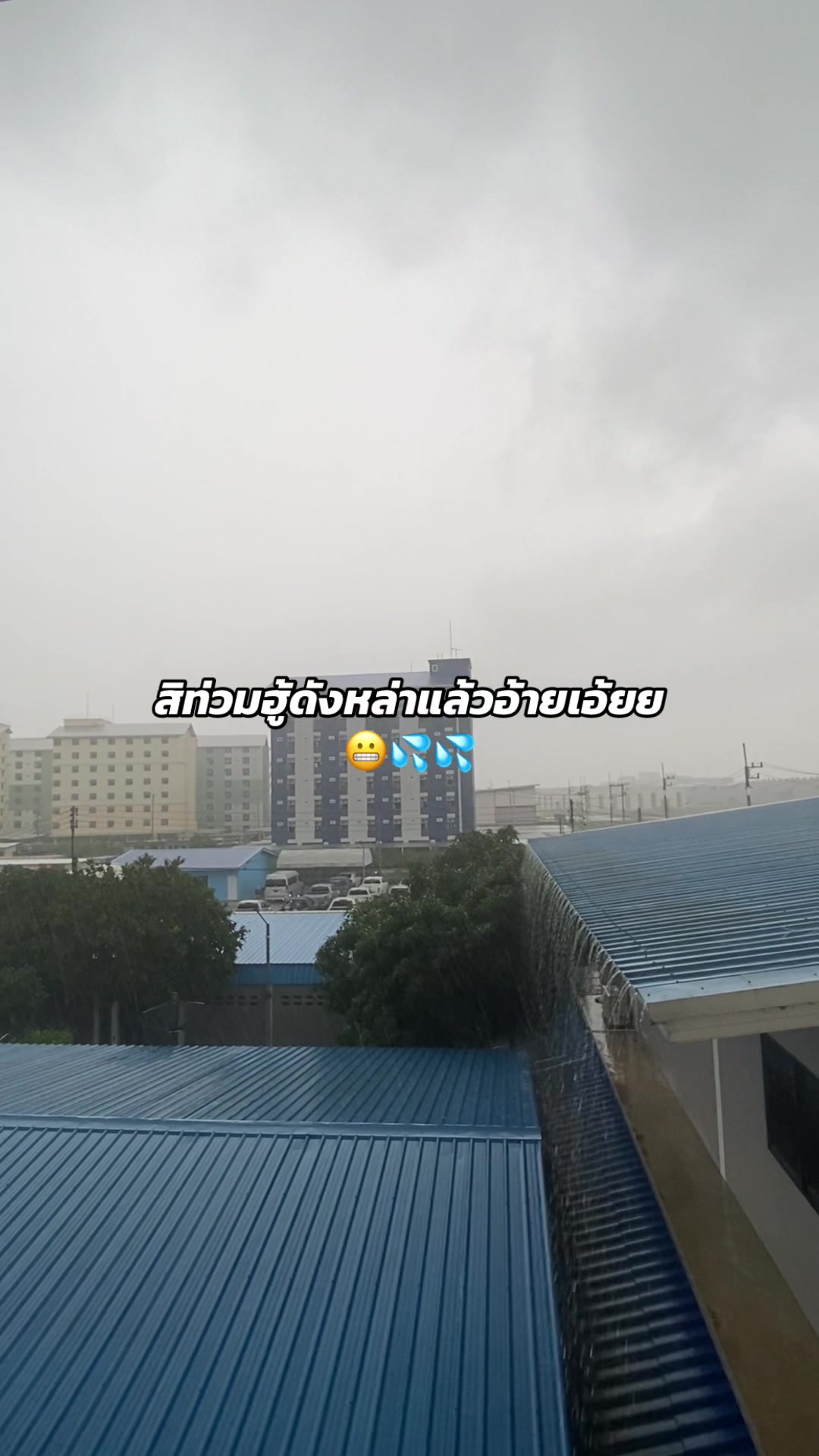 @วิภา🦋🧸