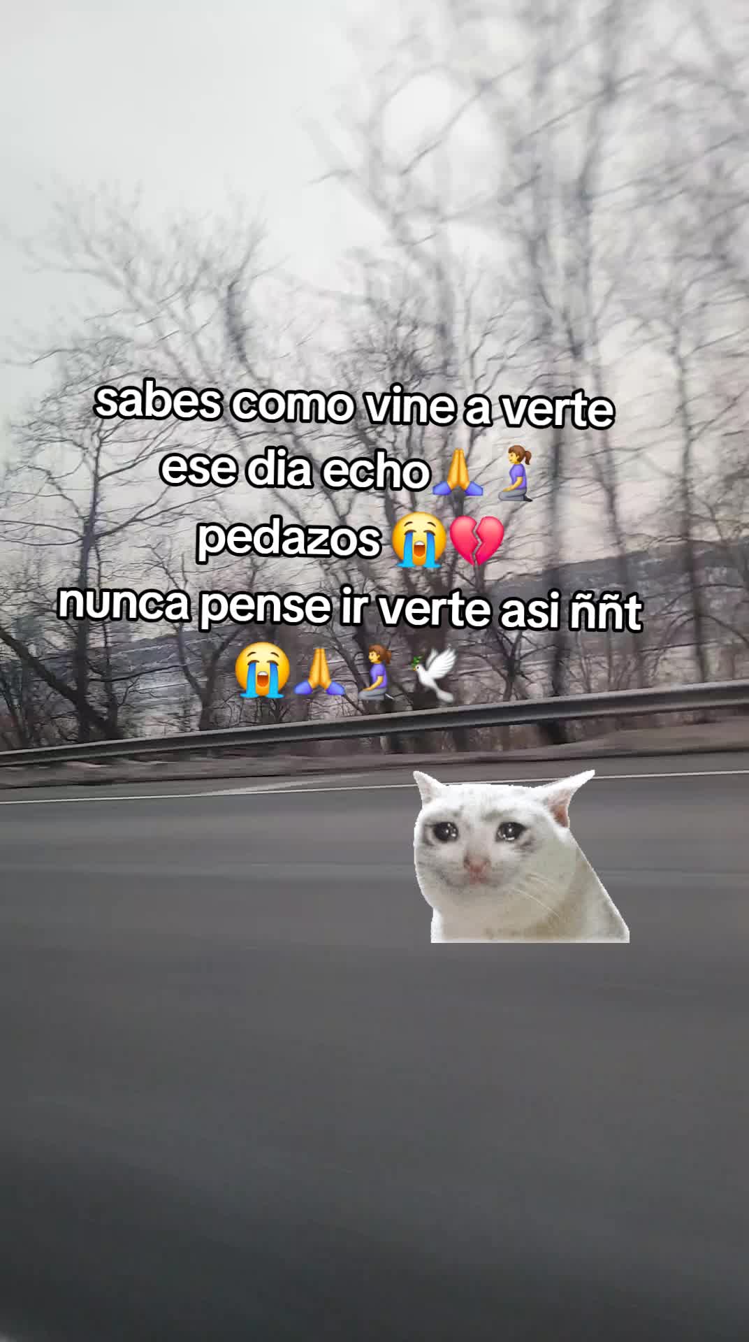 @🦋❤️&zwj;🩹Dalma Naranza 🖤🕊🫂🙏