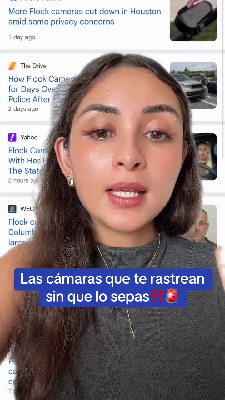 @dienerlawabogados