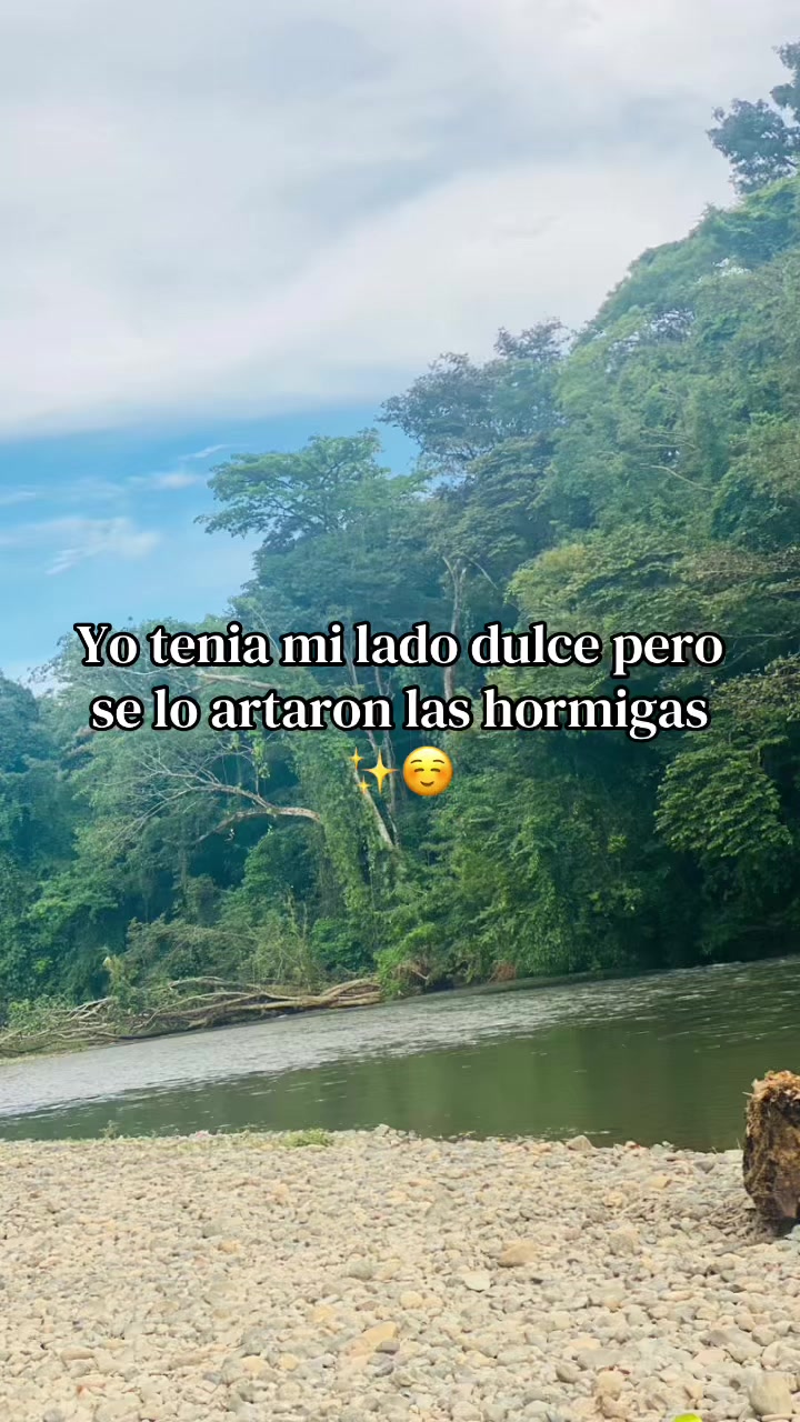 @7️⃣7️⃣7️⃣🦬🌻🍑☀️🌪️SOL DE LUN