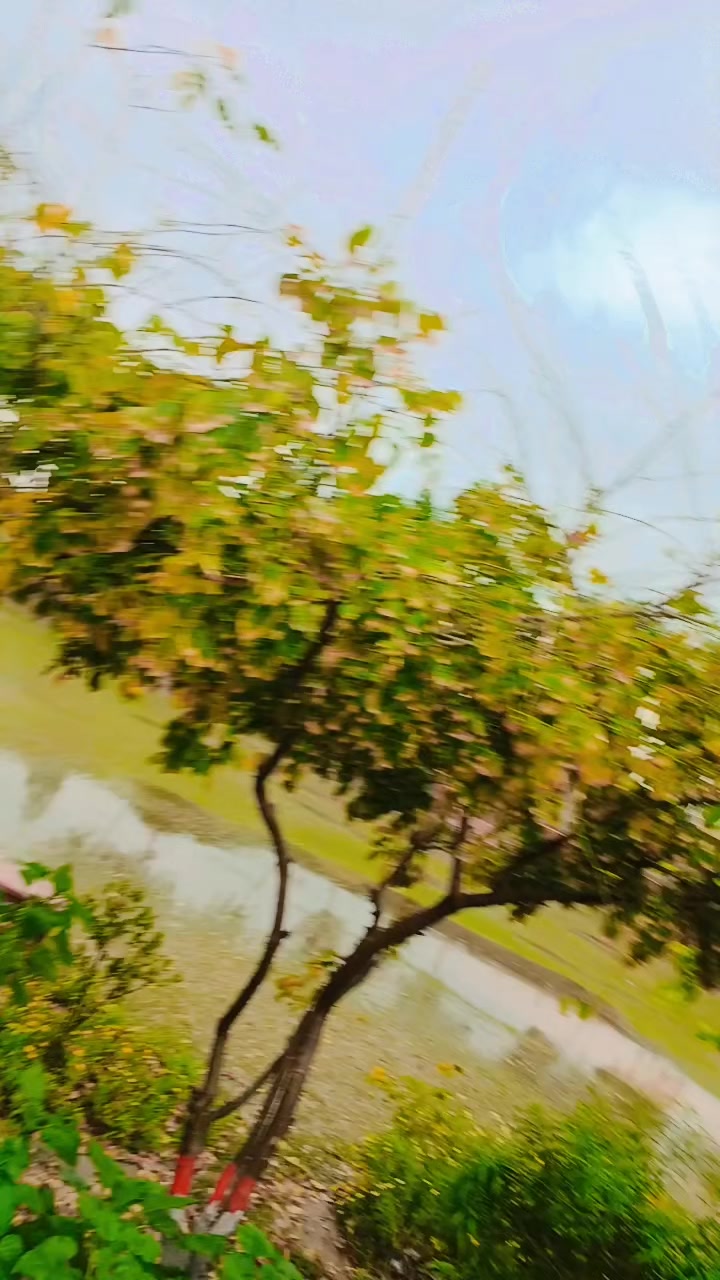 @kashi dogar