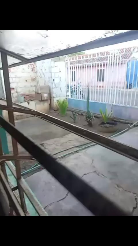 @la liendra en la calle