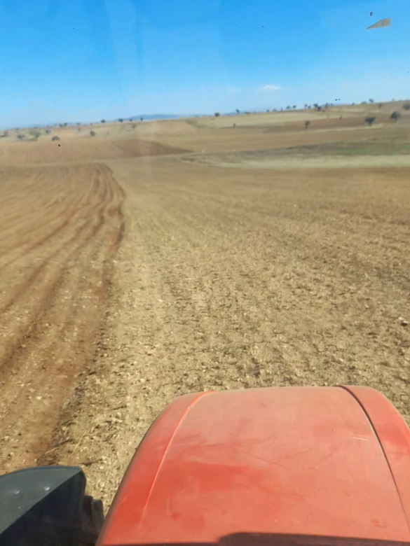 @YAVUZ TARIM🌻🌾🌾🇹🇷🚜