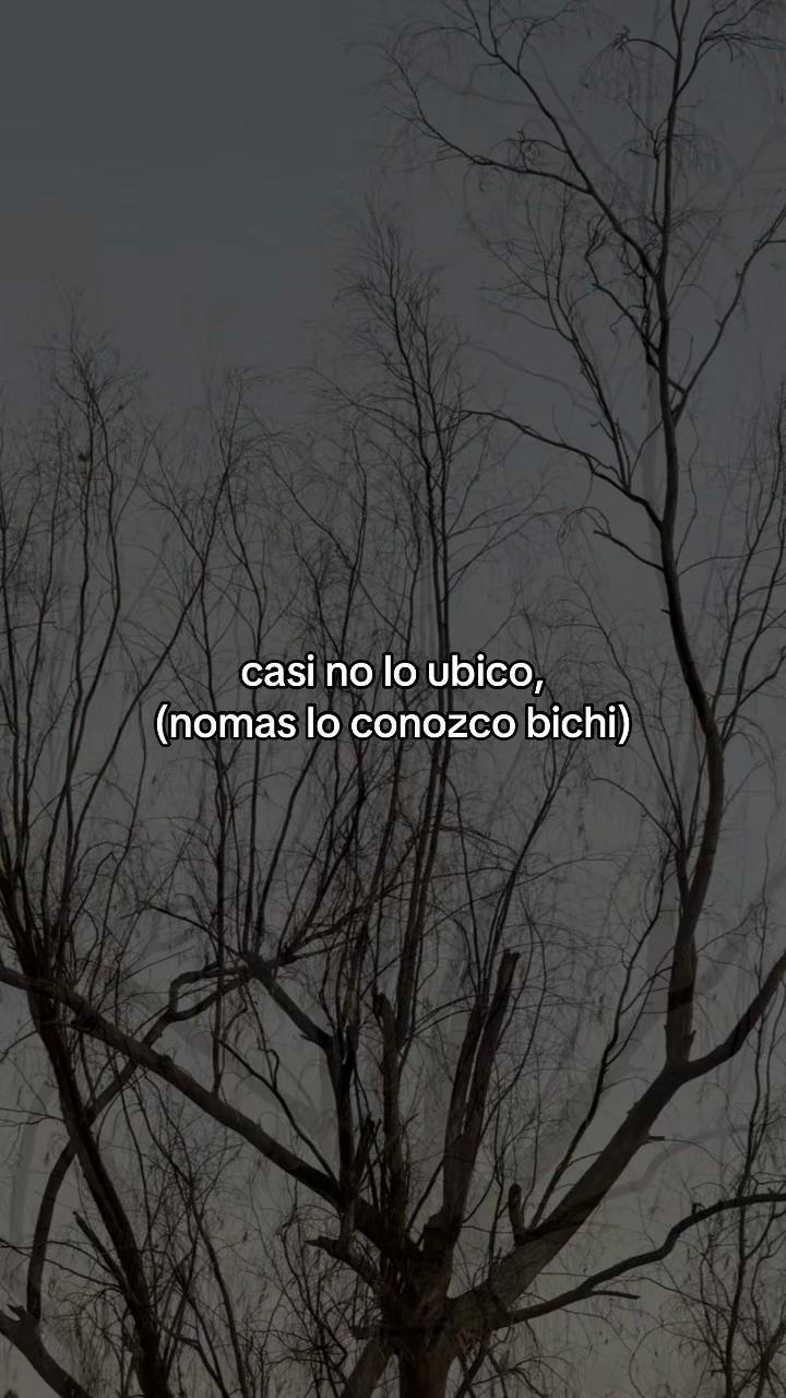 @Mis