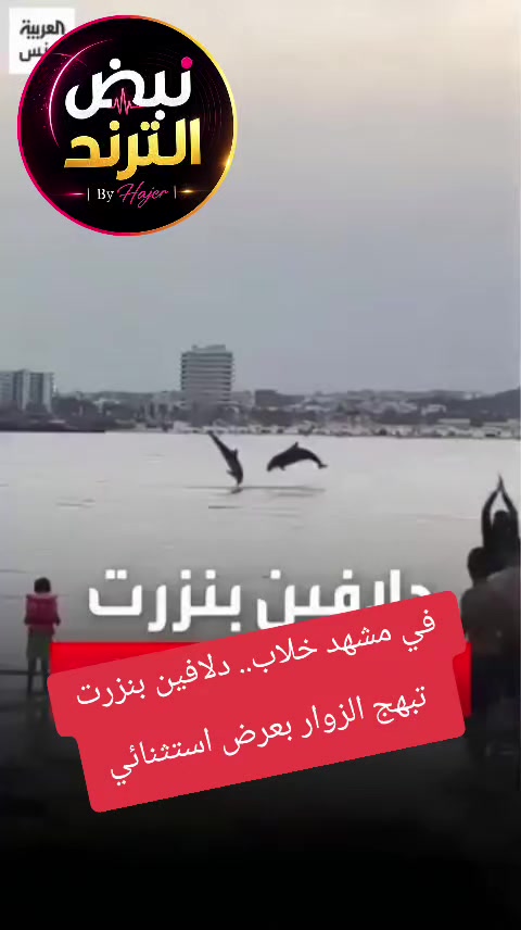 @نبض الترند | By Hajer