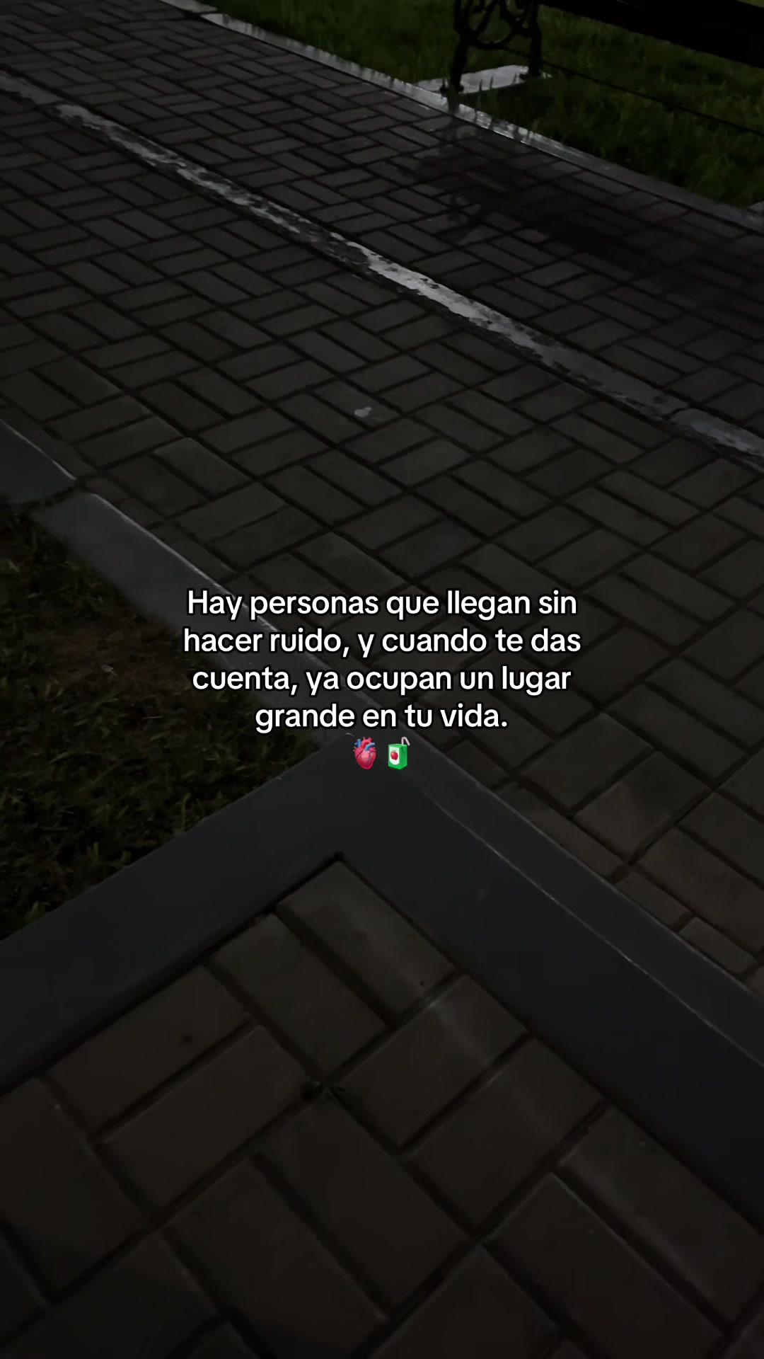 @Gatocix 🐱