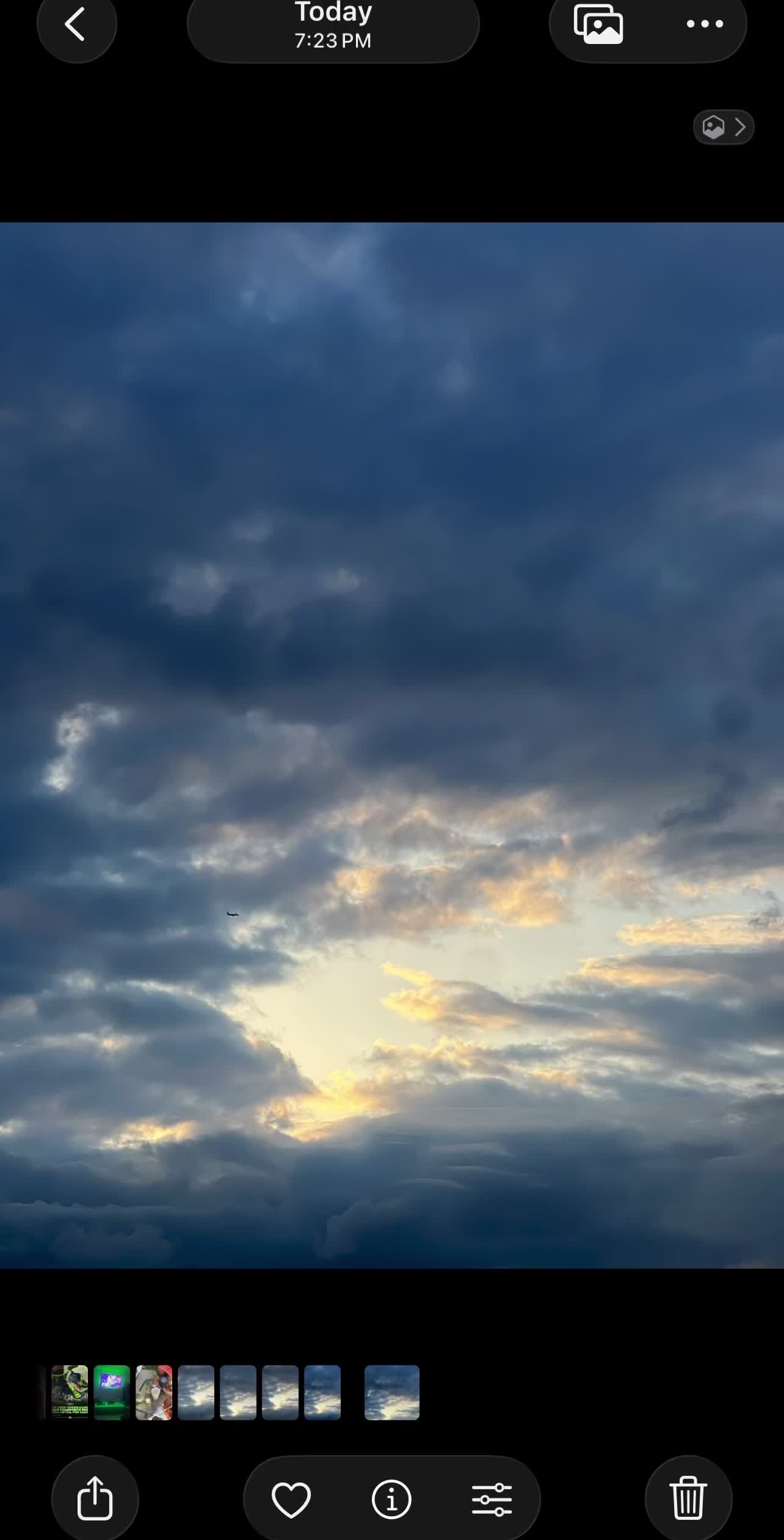 @Zeddtheman