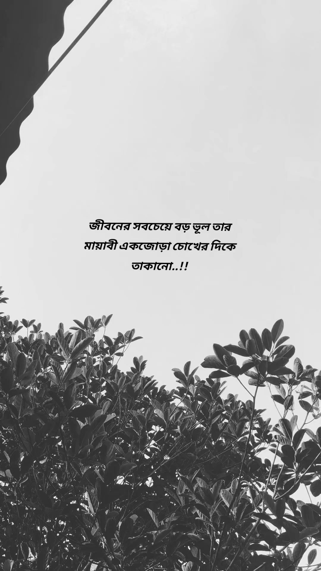 @SYSTEM 🚩