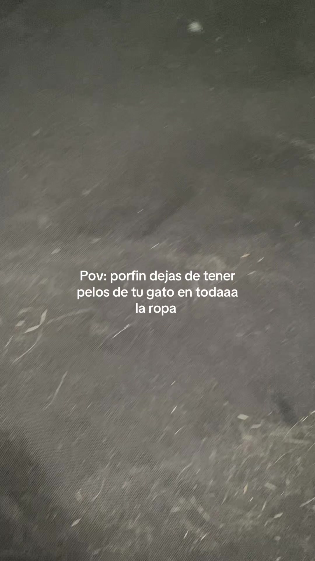 @Yammruiz