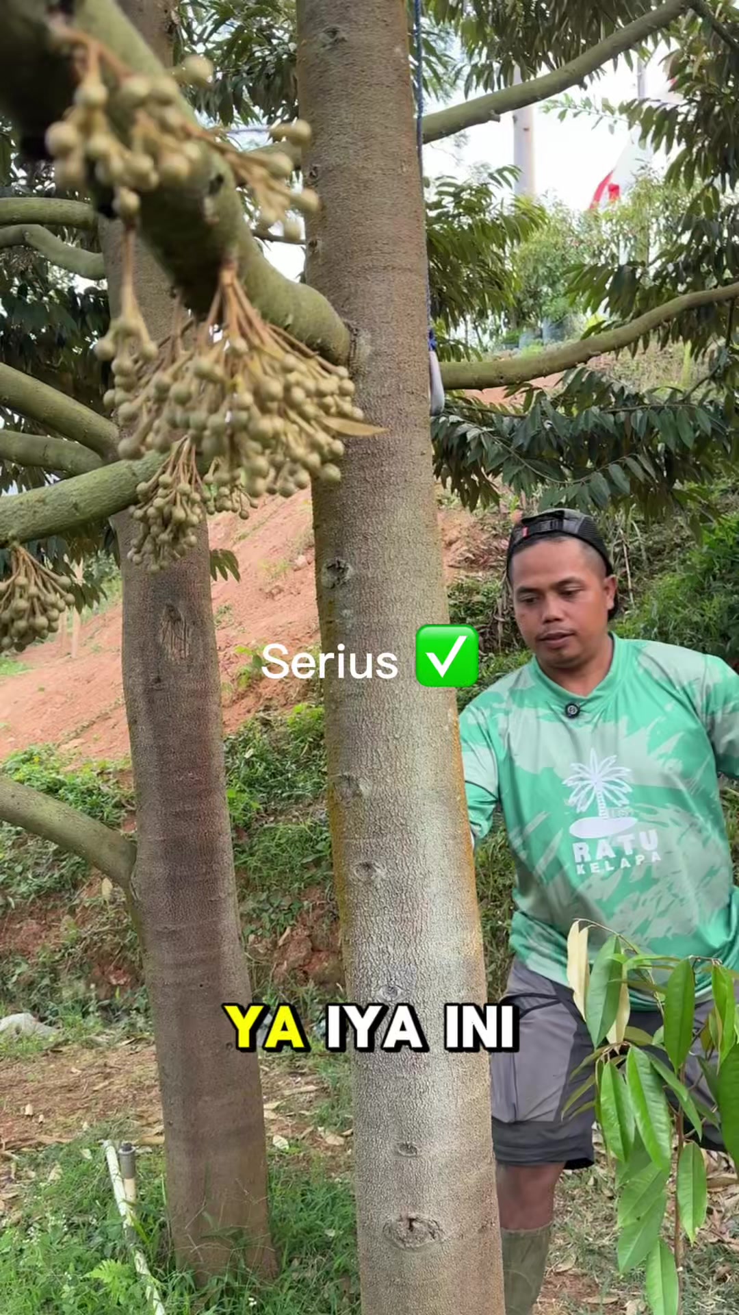 @AA KADU
