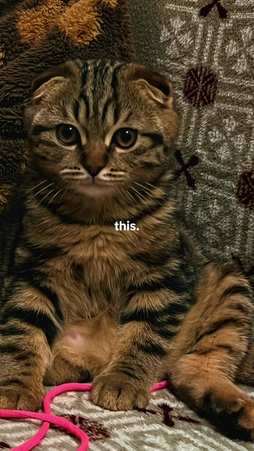 @Renata