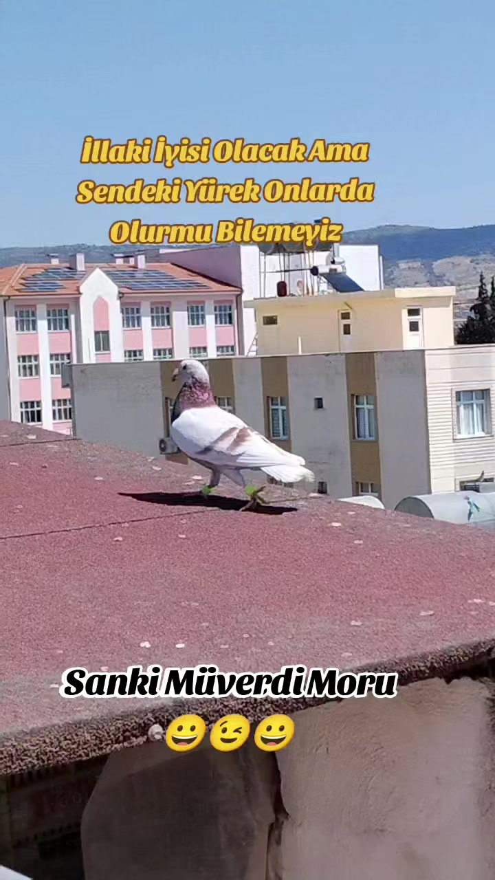 @ÇİLOĞLU KLASİĞİ