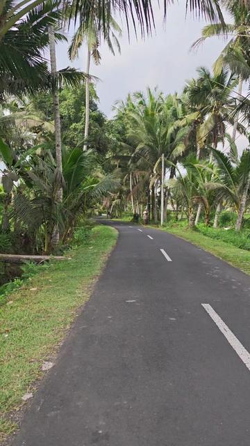 @UBUD BALI INDONESIA