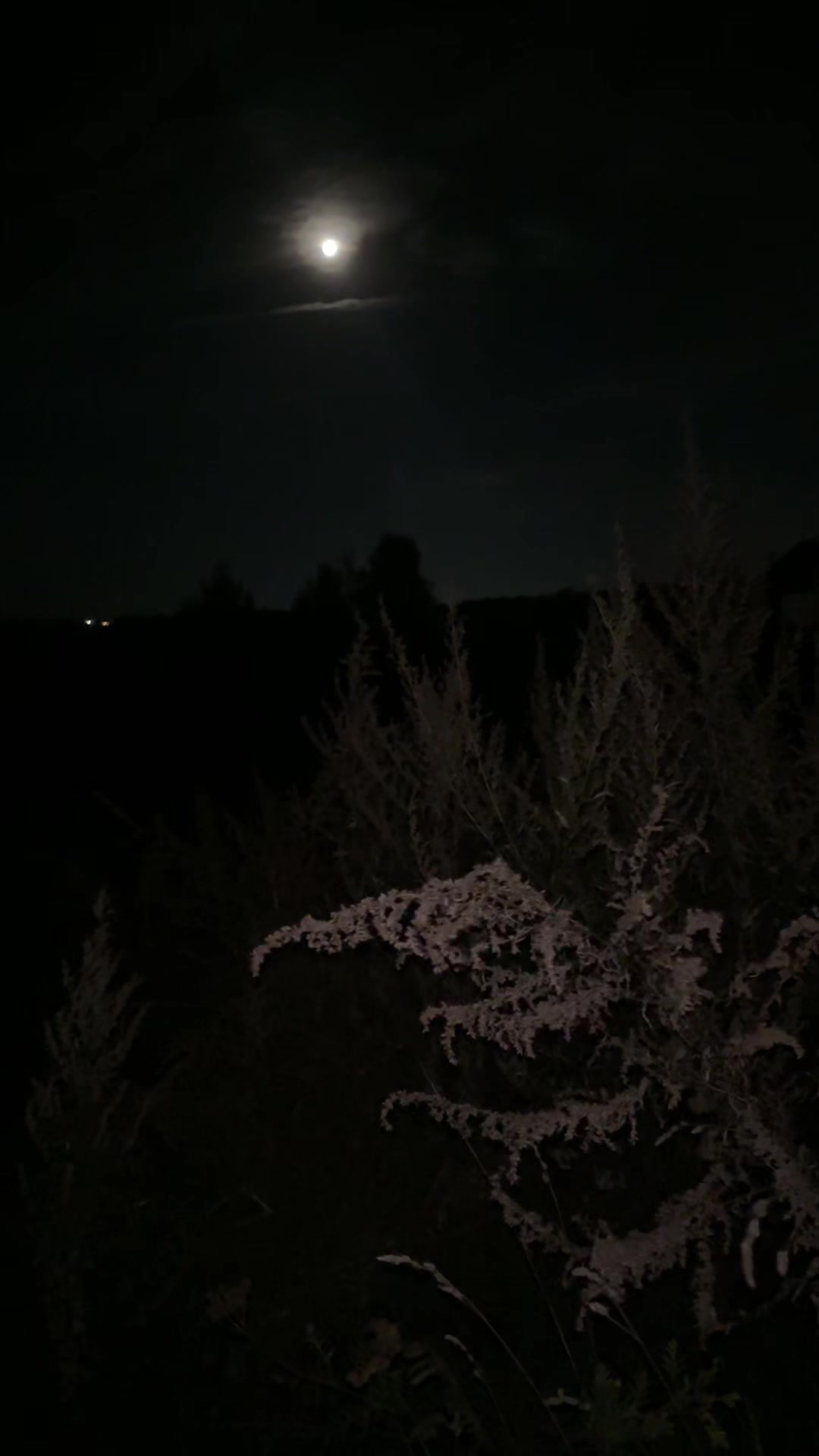 @стрххз💤