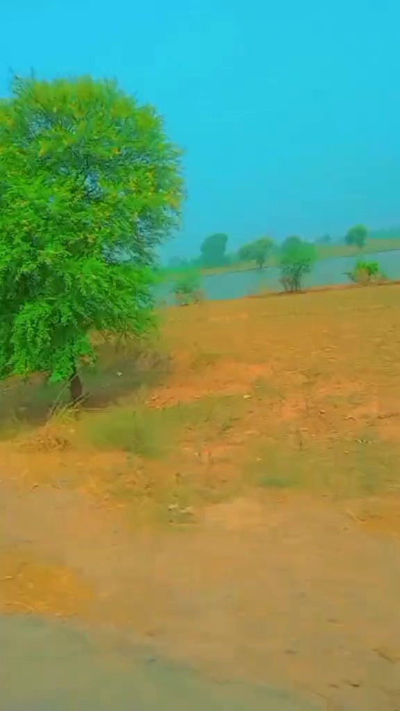 @Rehmani0071