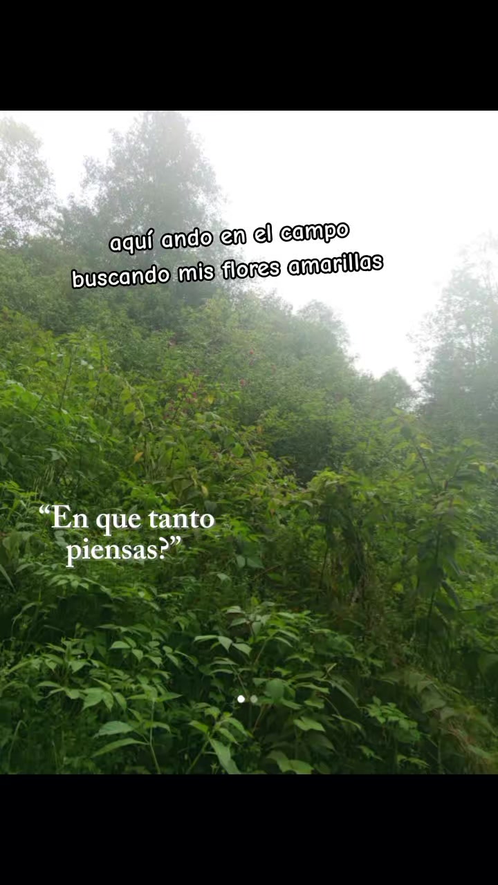 @Estrella encantadora 😍