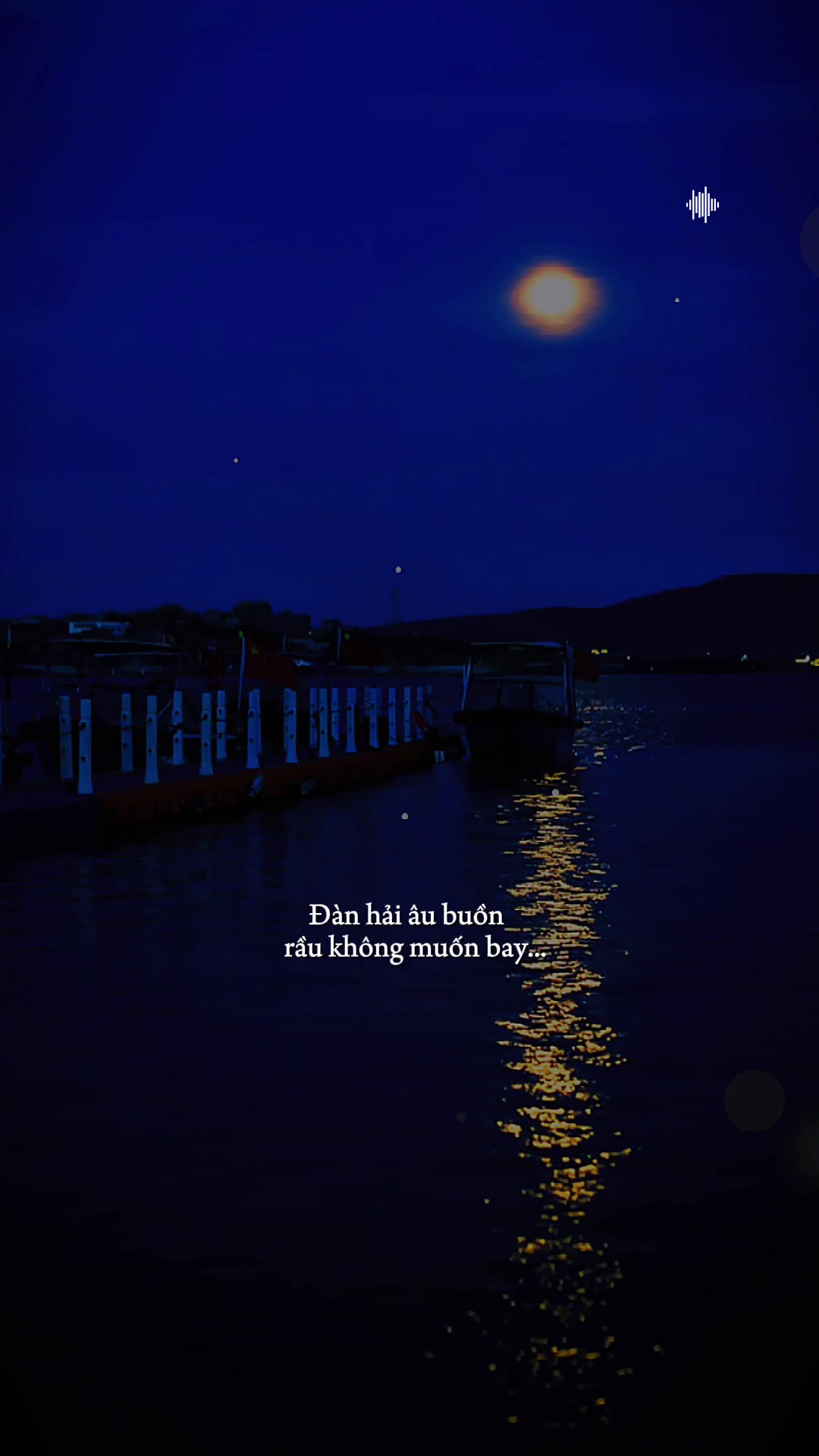 @🎶G&oacute;c Phố &Acirc;m Nhạc 🇻🇳