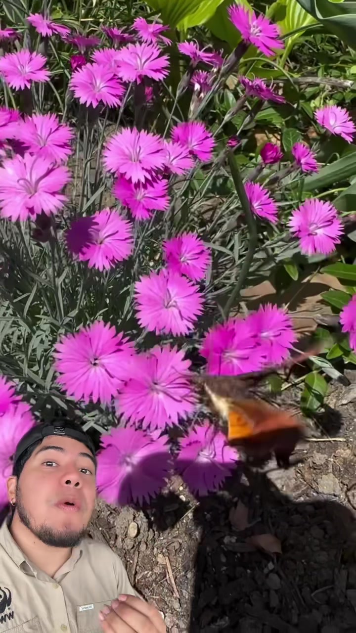 @Soy Sebassalvaje (dúos)