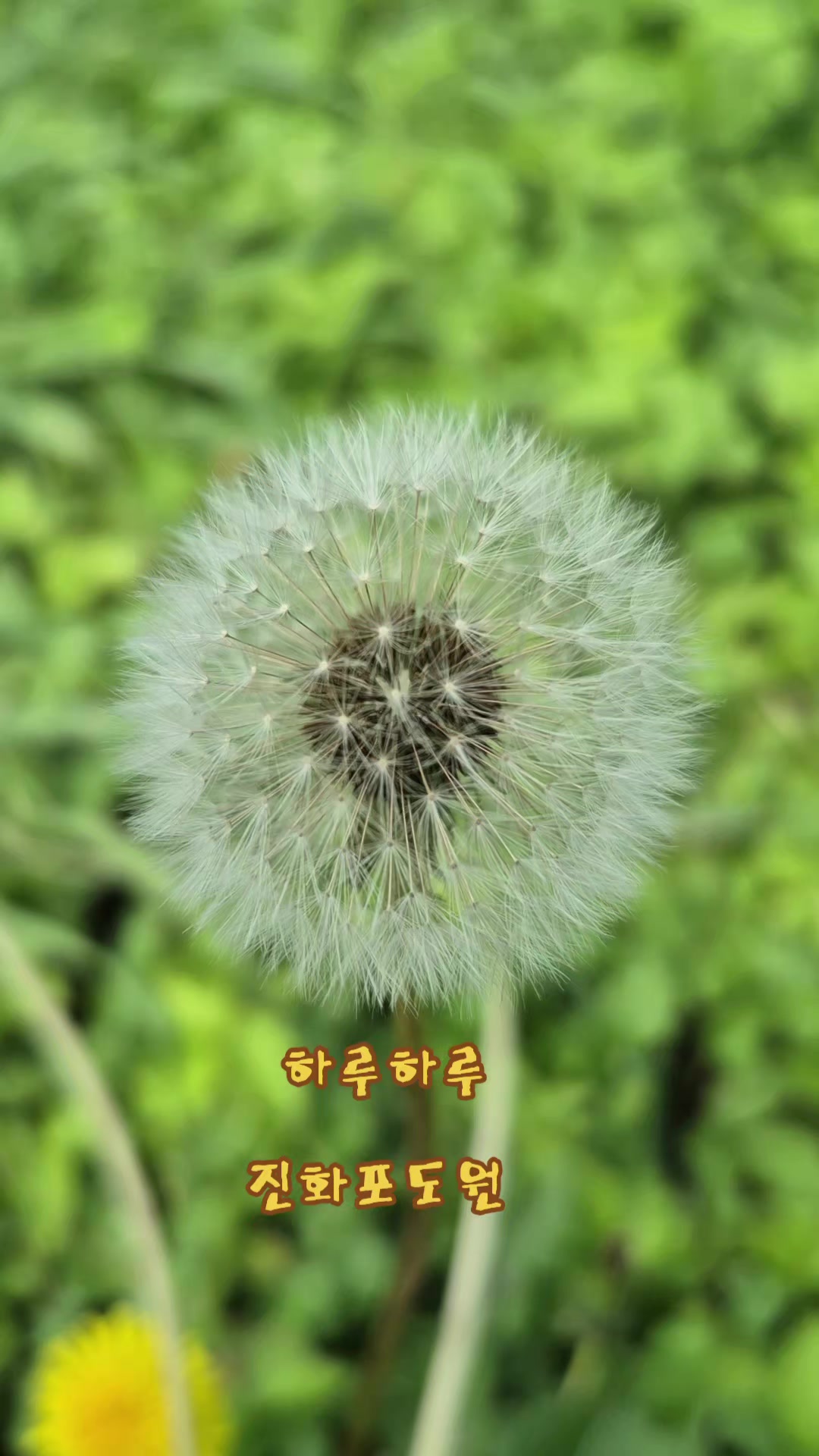 @진화포도원