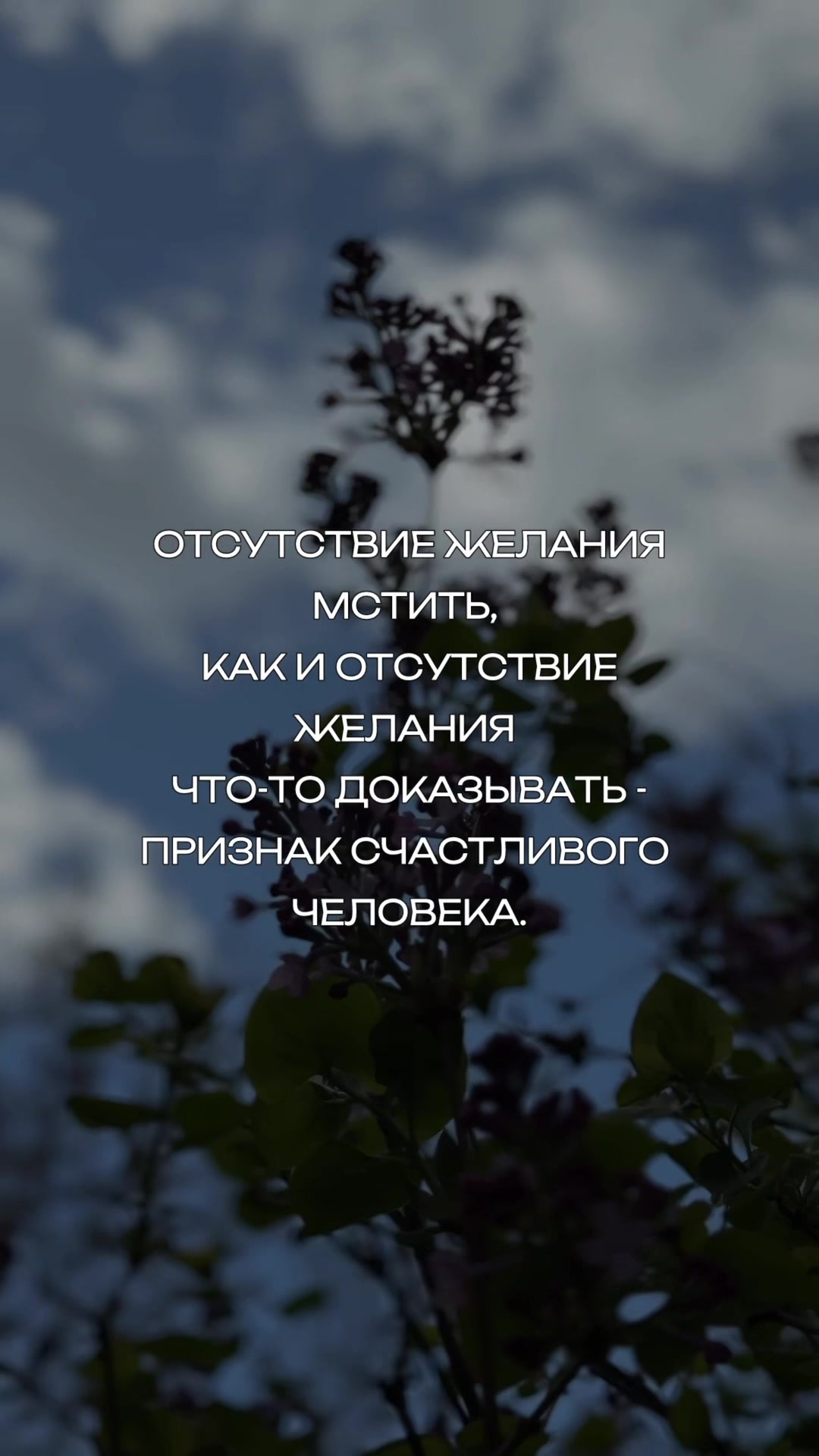@Vera