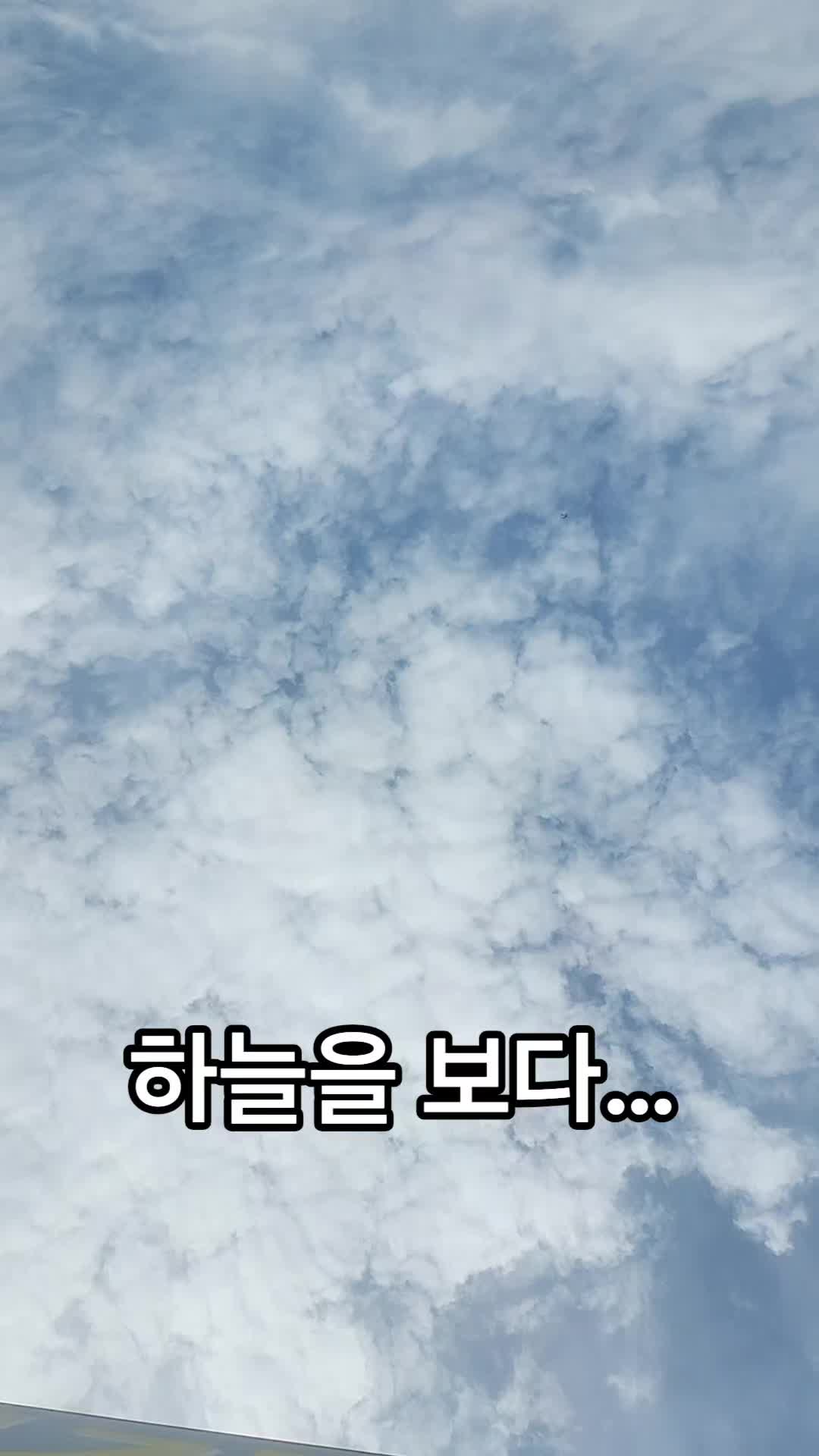 @김 새로이