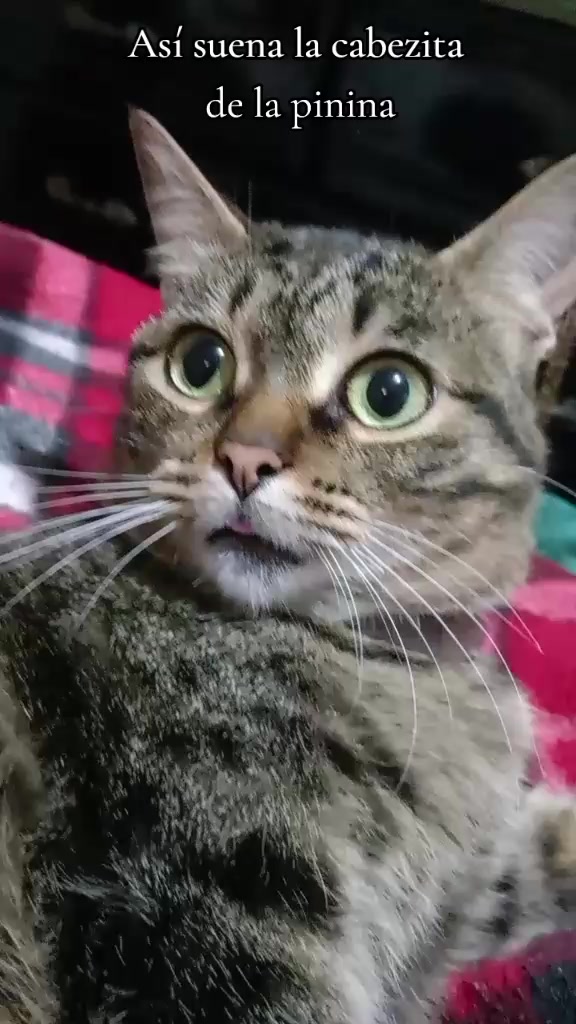 @♡ ♡