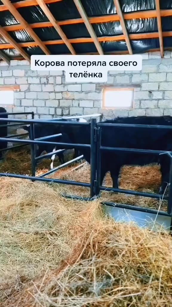 @Александр Олегович ✌️😎