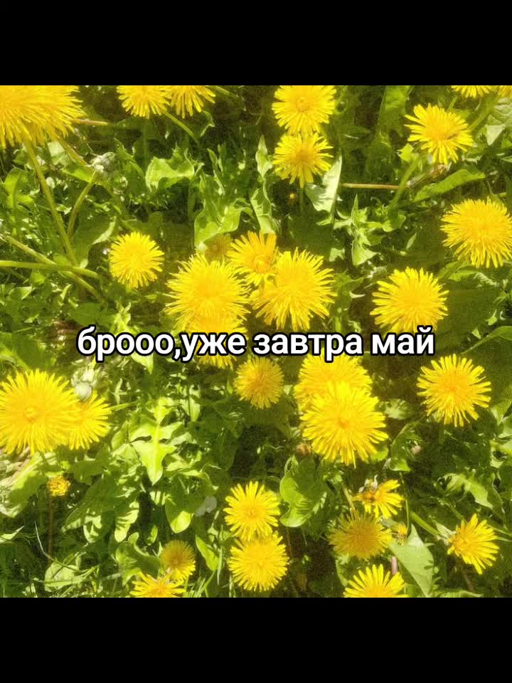 @Эмилька🍰🌸