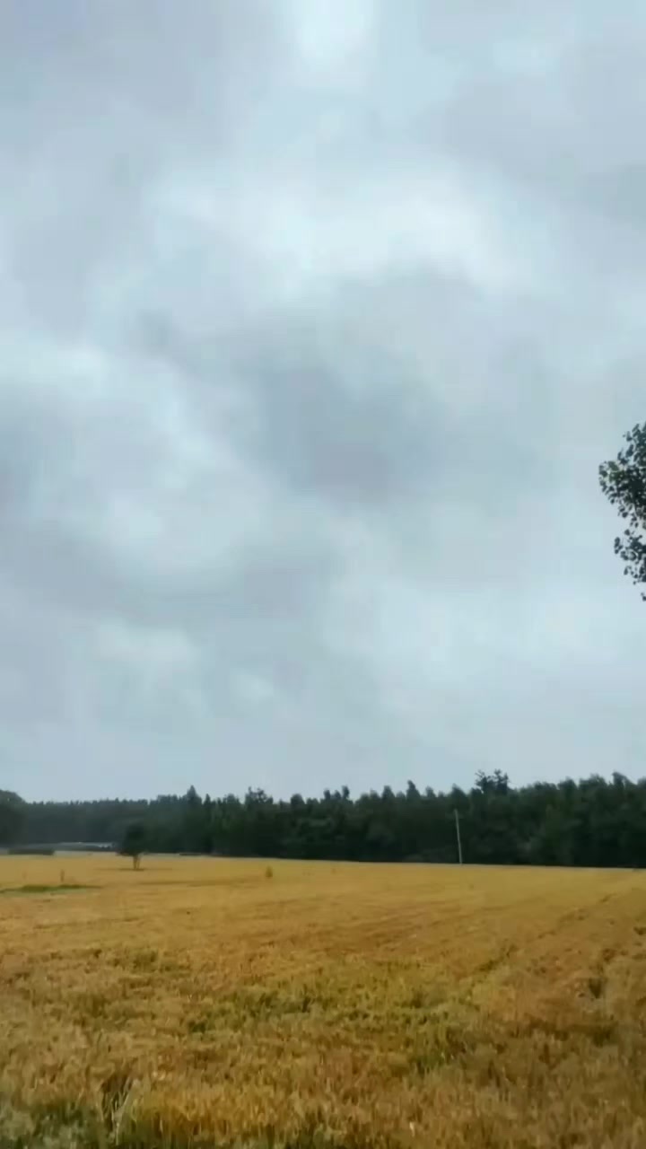 @올싱나야