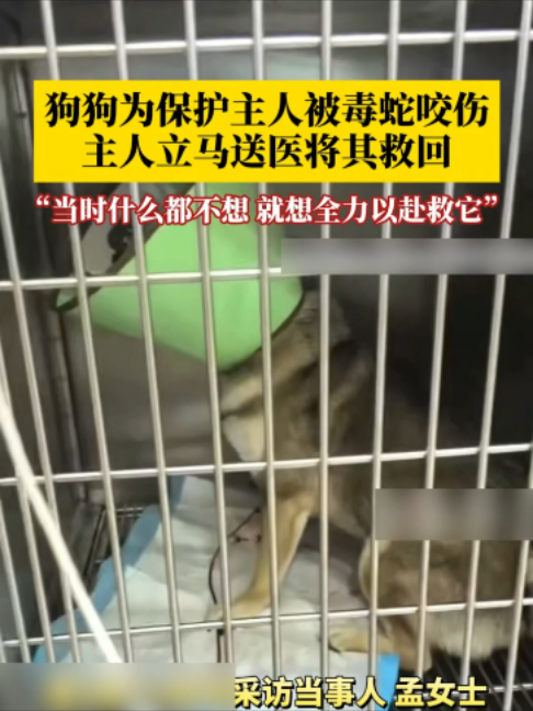 @闽南风~