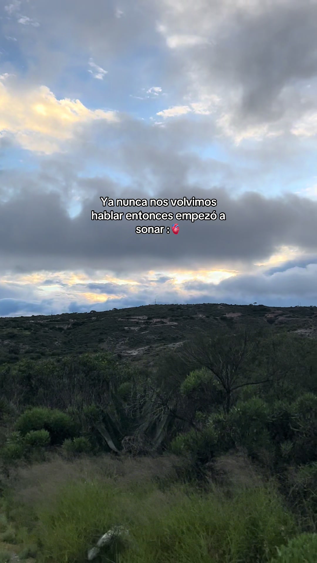 @violetta