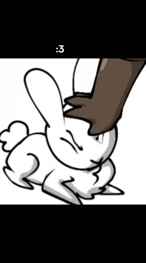 @PoodleChan💚🖤🐇