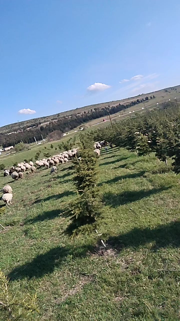 @sen senol mene ilişme