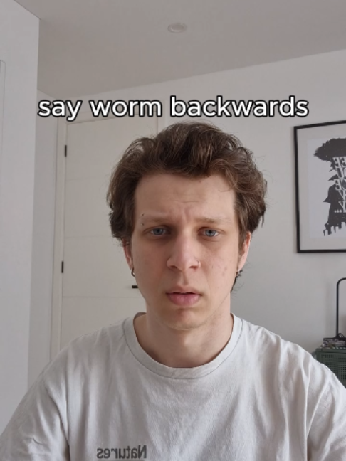 @volvox