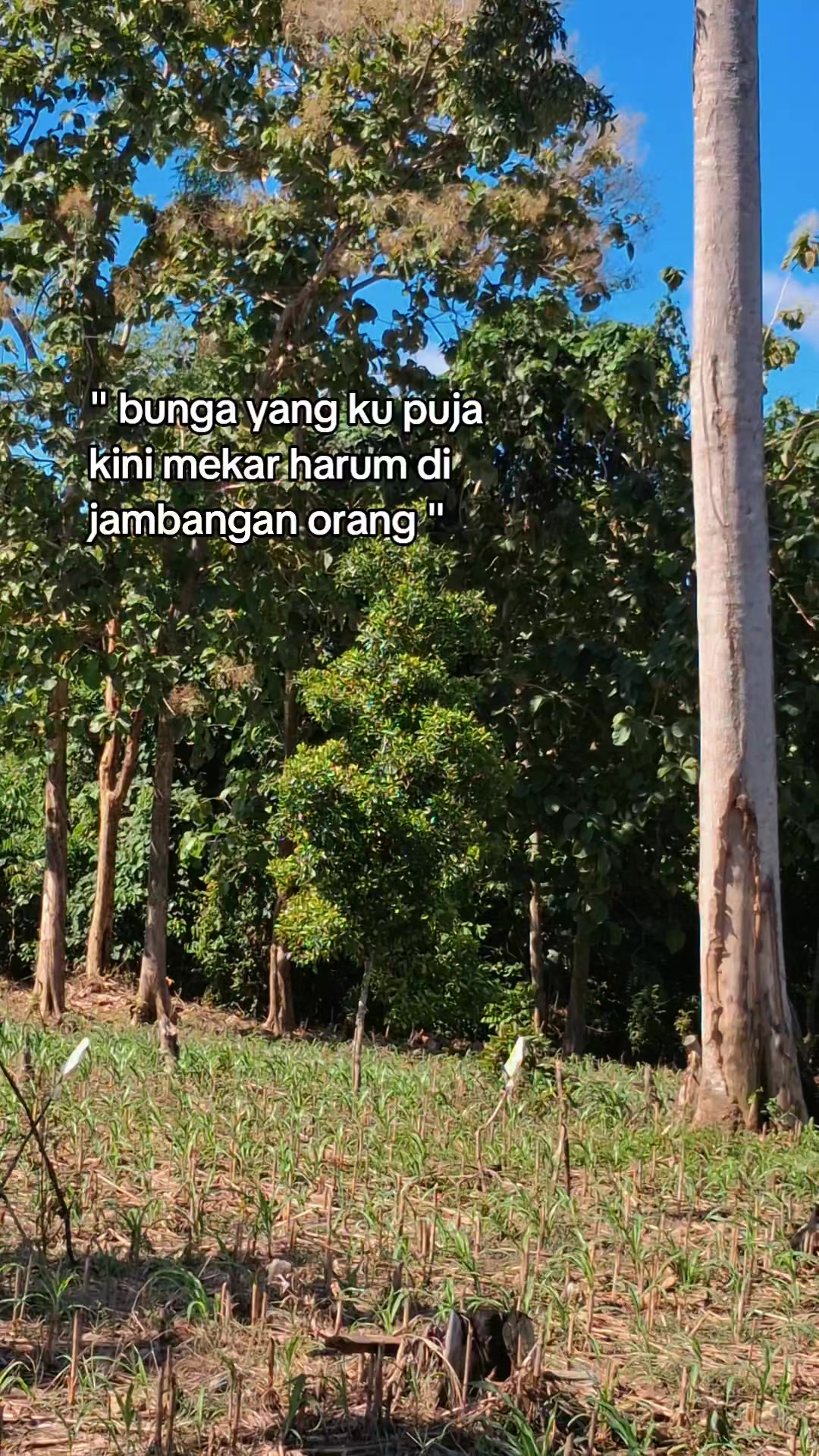 @🥀م