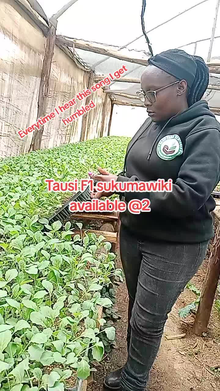 @wambuku thefarm empress