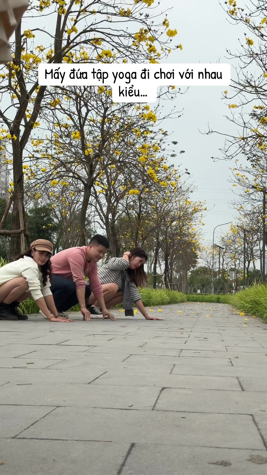@Yoga điii - Yoga &Aacute;nh Tuyết