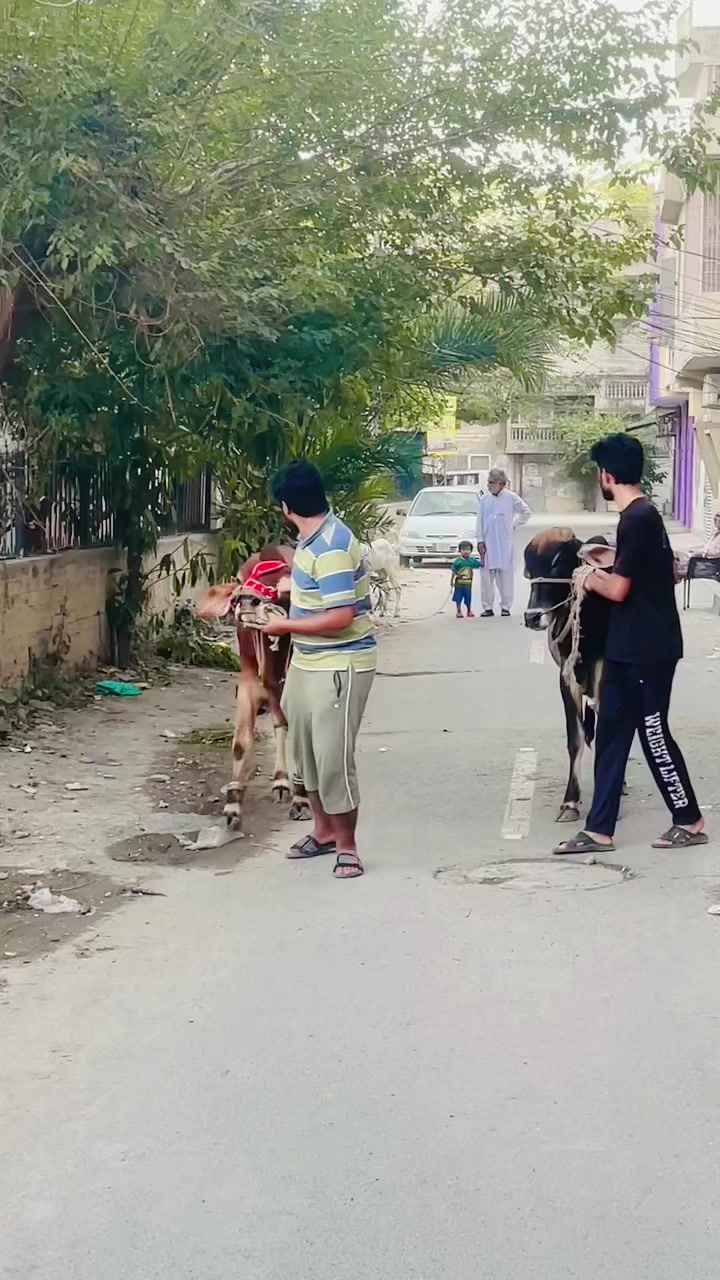 @Saad Malik