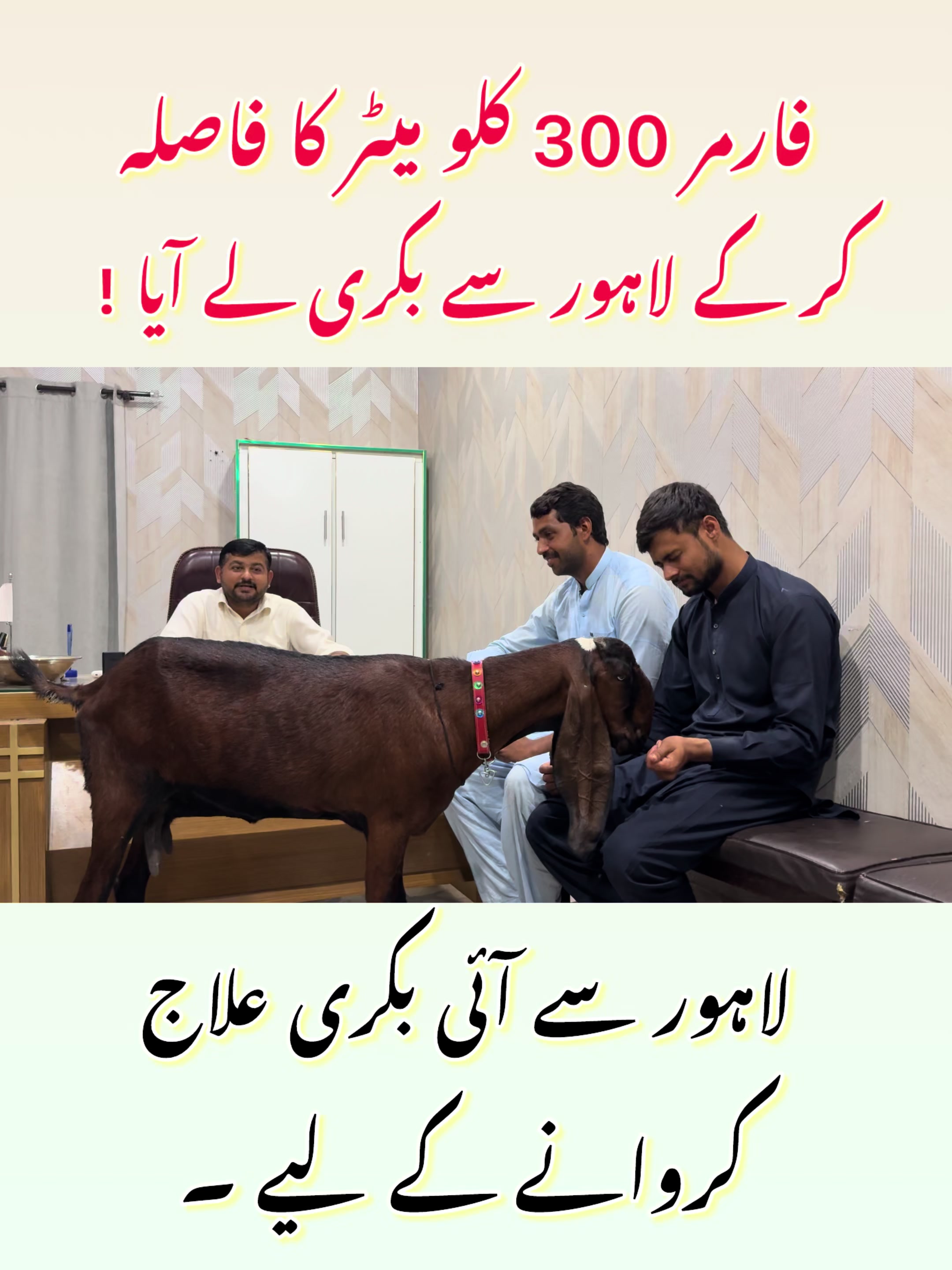 @Dr.Mohsin