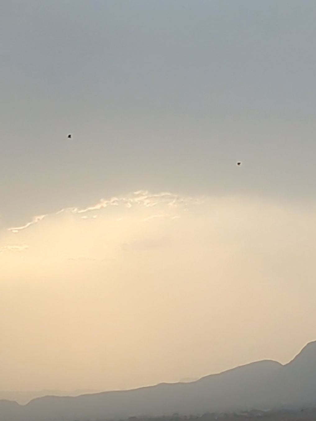 @باچا✨