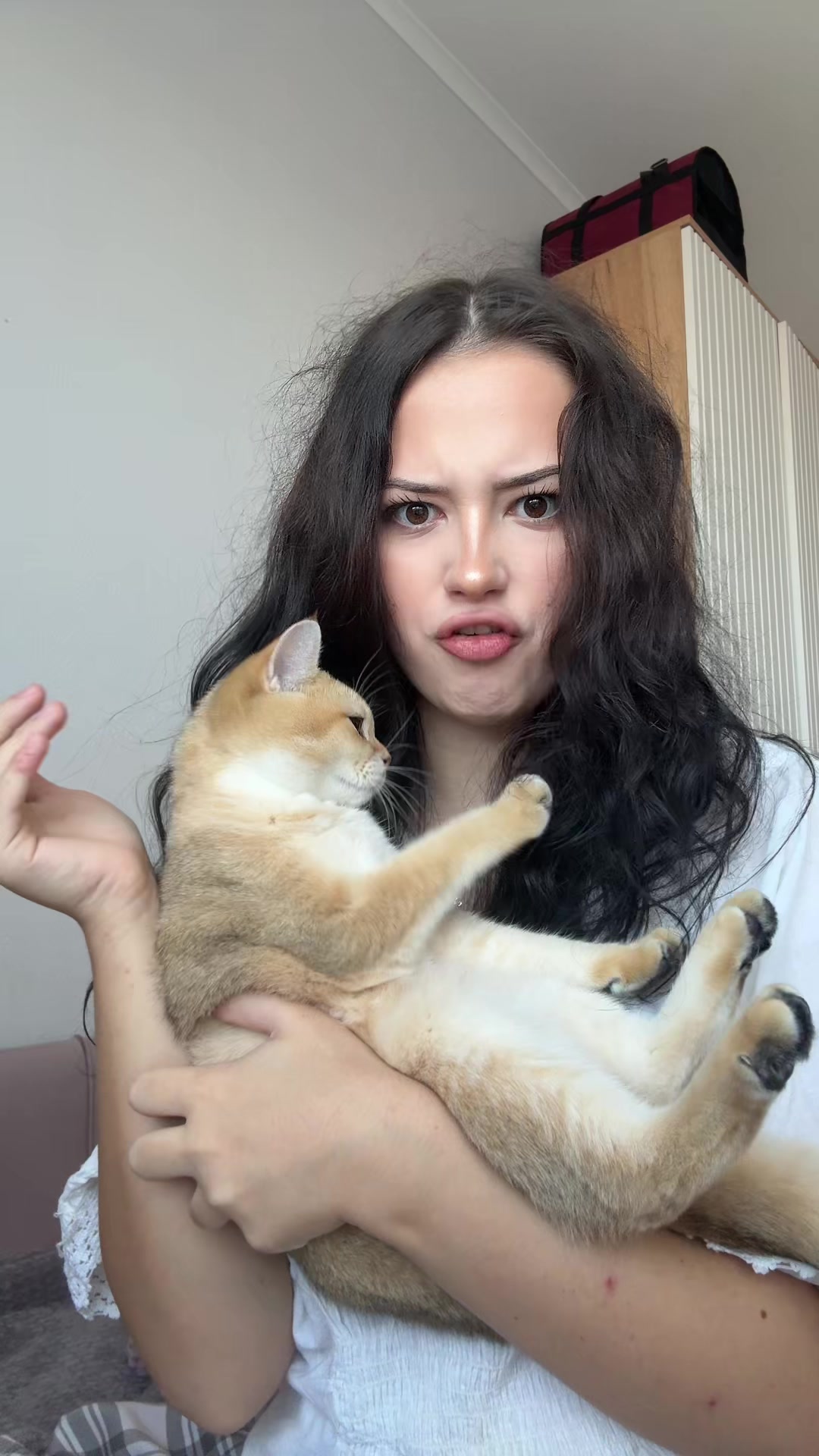 @тгк:крутая кошка