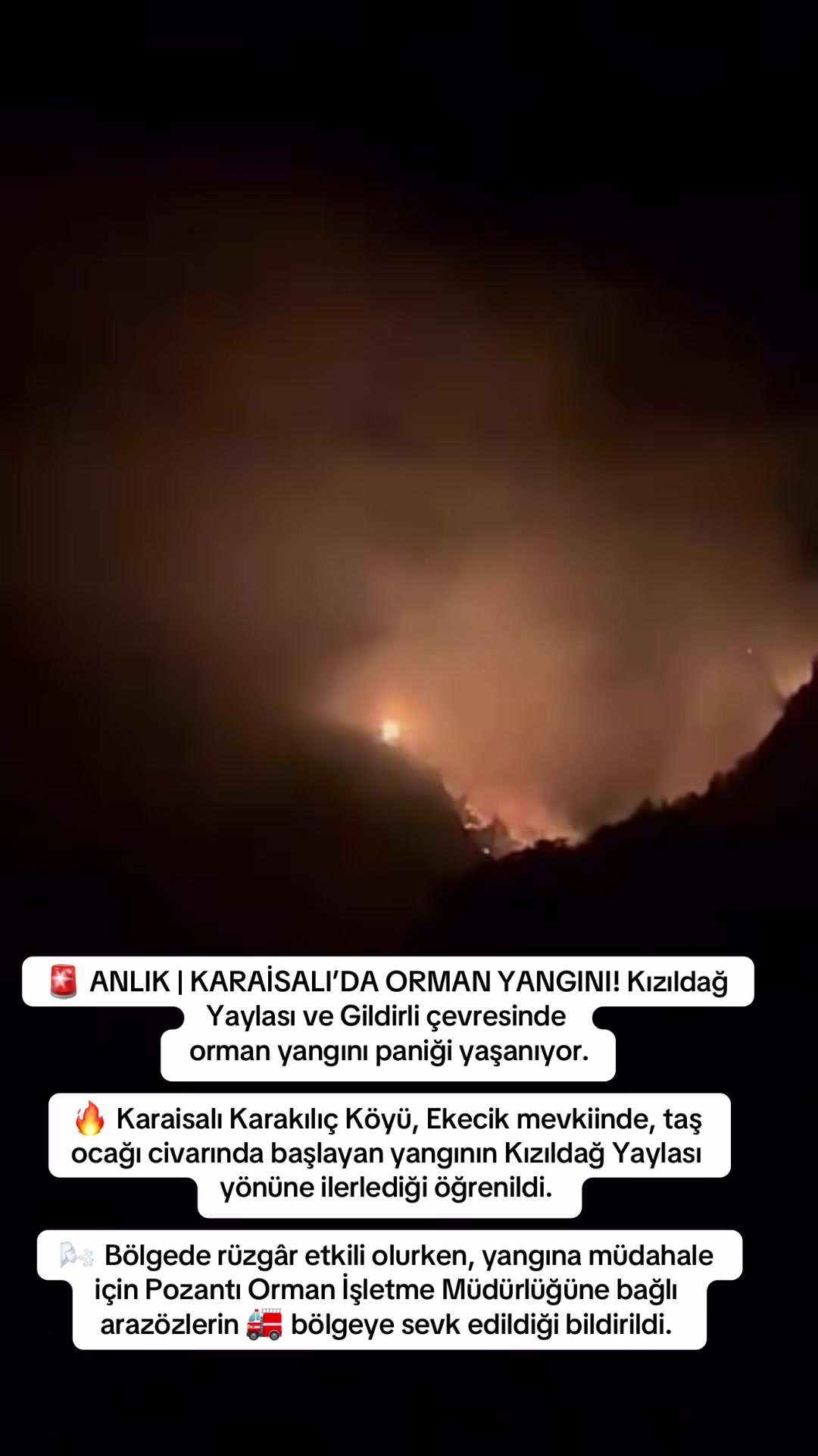 @Bizadanaliyik