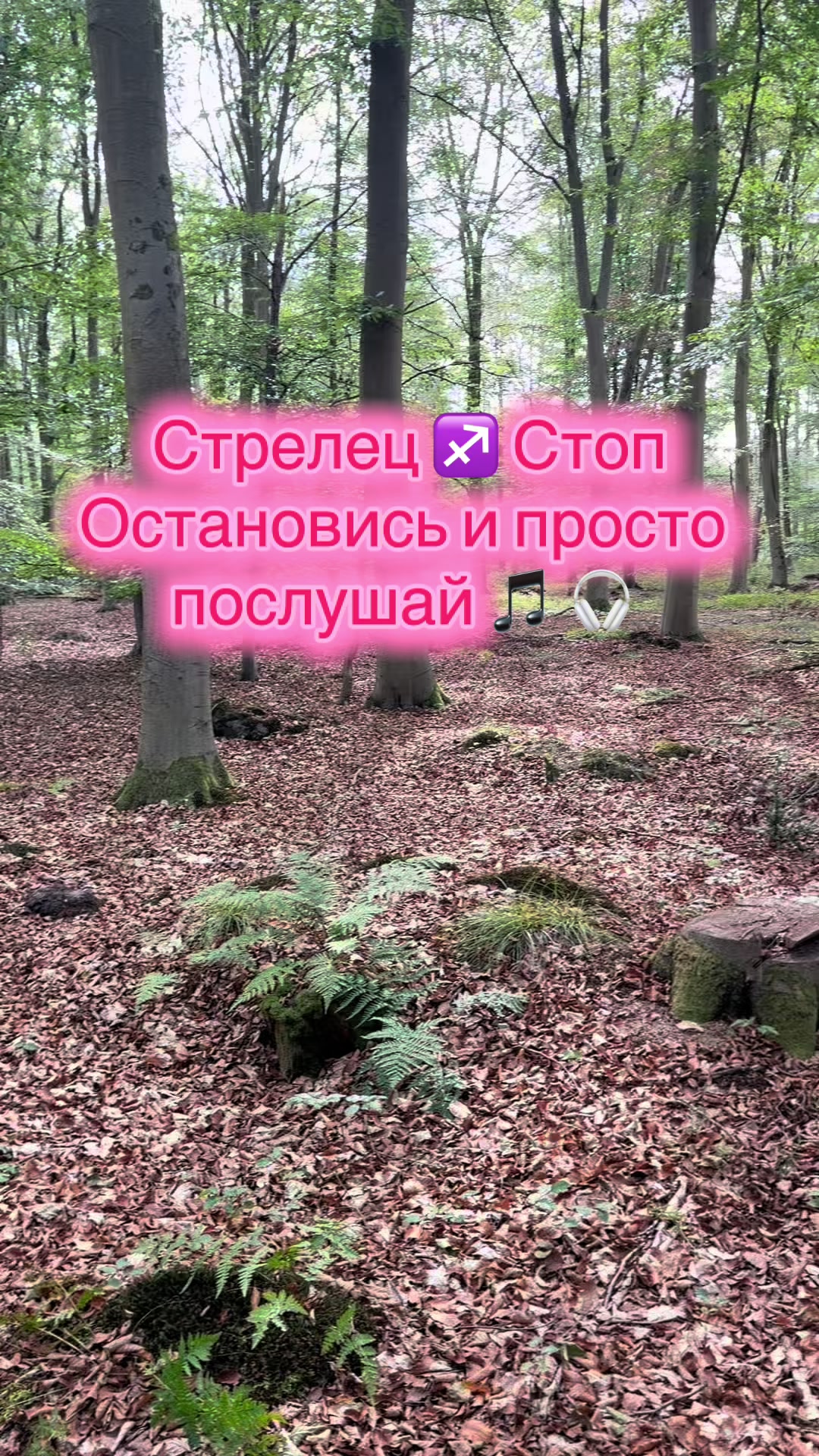@𝒱𝒶𝓁ℯ𝓇𝒾𝒶 𝒪𝓇ℯ𝓁 ☘︎☼☯︎➶︎