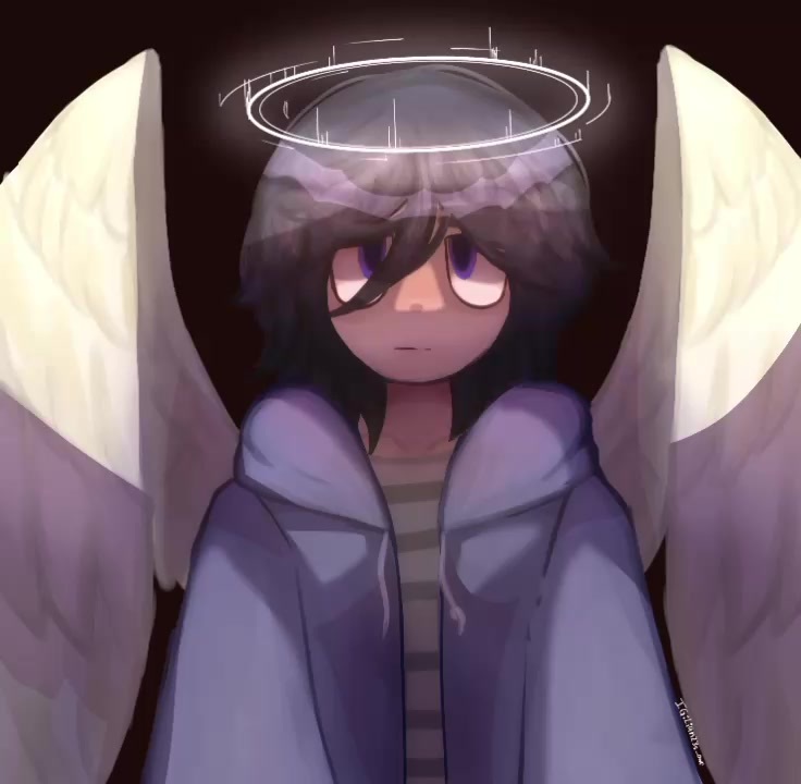 @✿𓆩༻▅▅▅▅༺𓆪✿