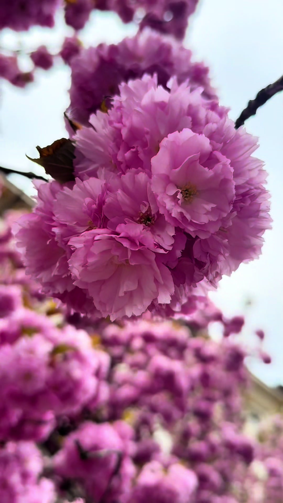 @Ендокринолог Вінниця🌸