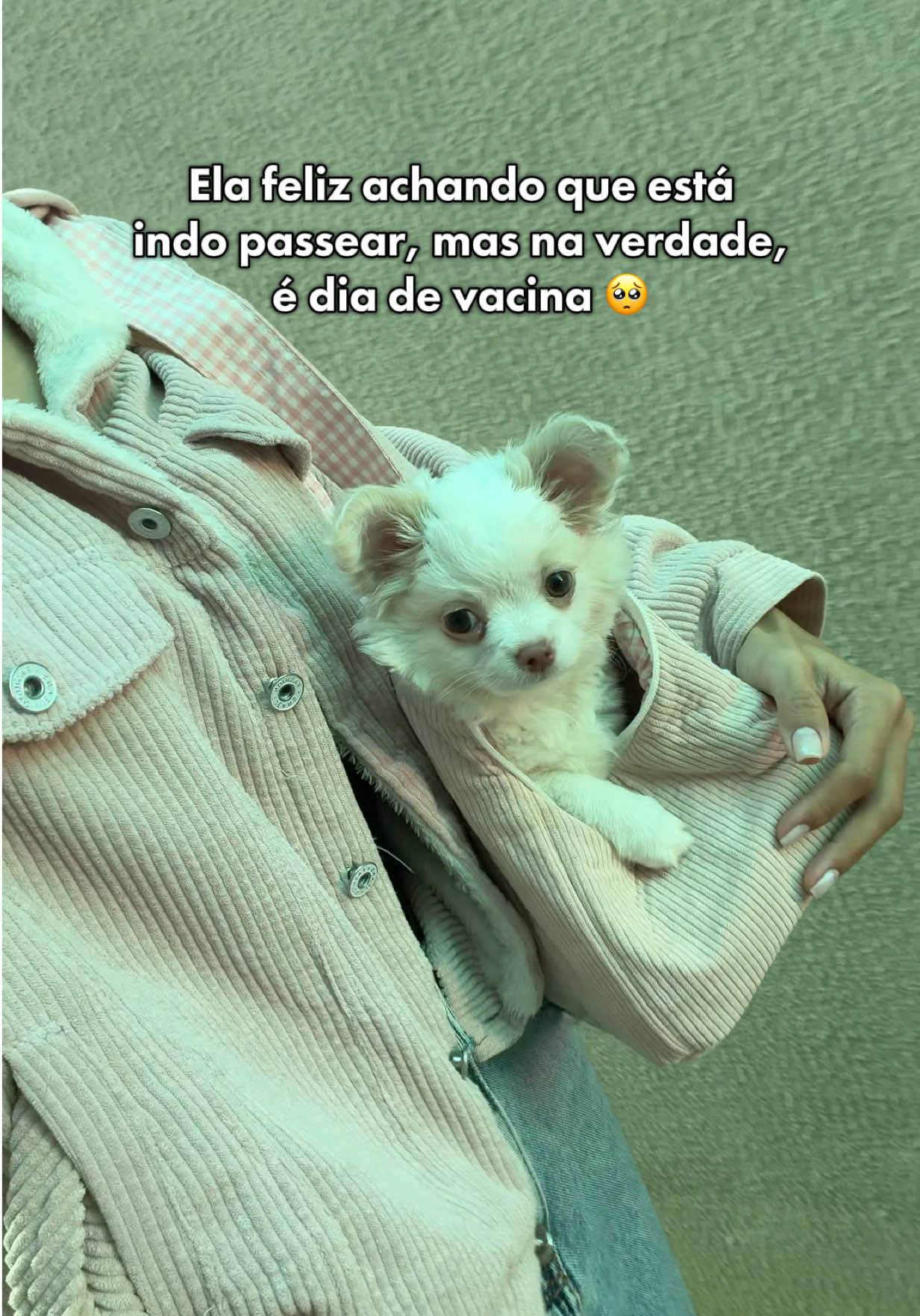 @Lu Morais