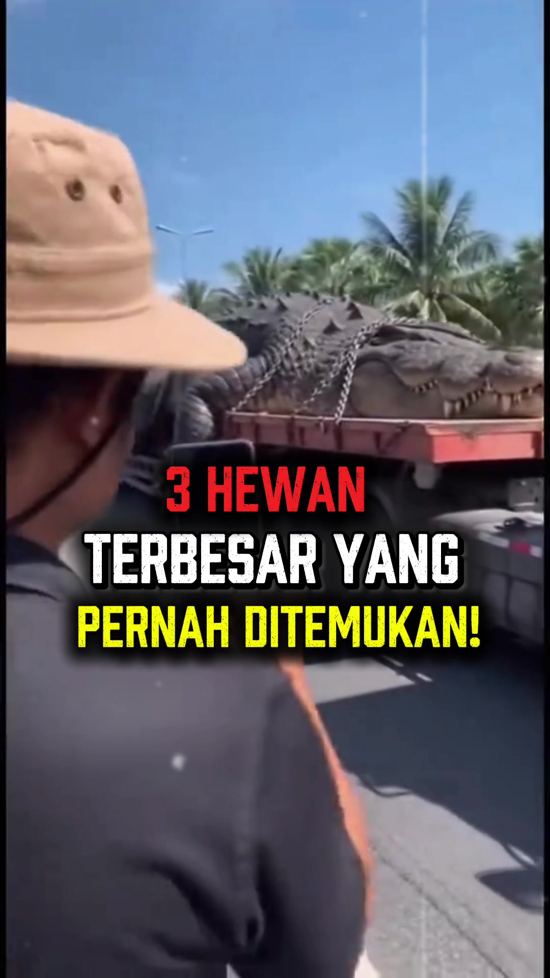 @Illank koko