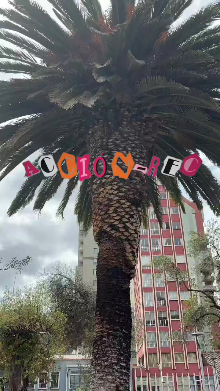@Fundaci&oacute;n Unifranz
