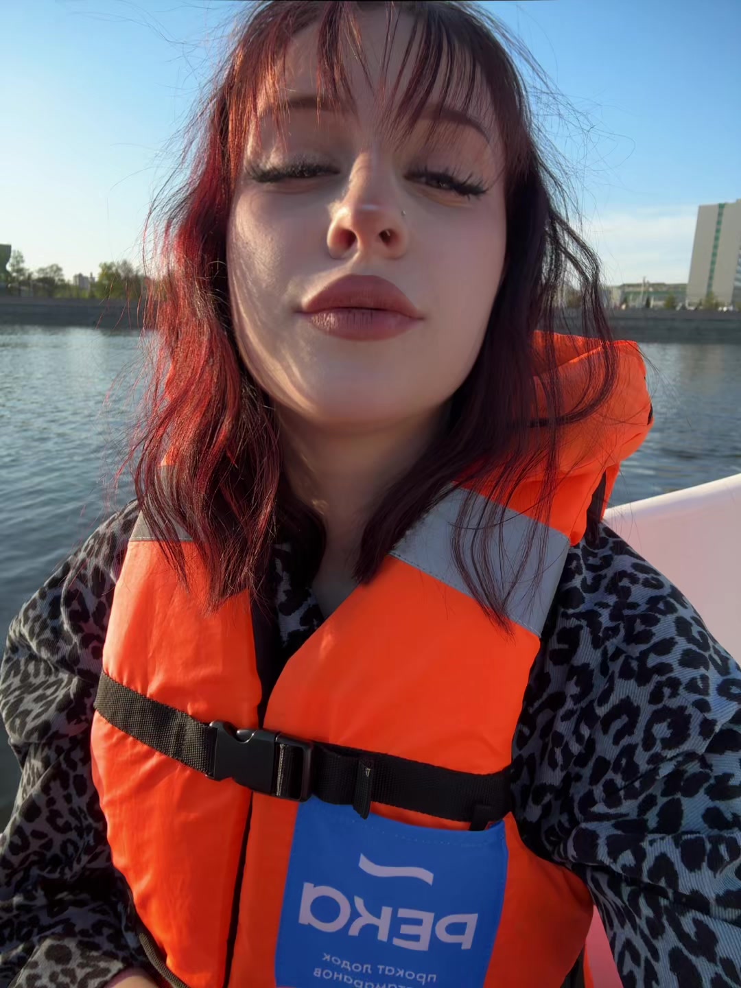 @montana